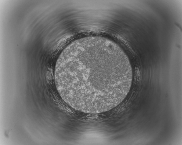 X0000102480918200809051352