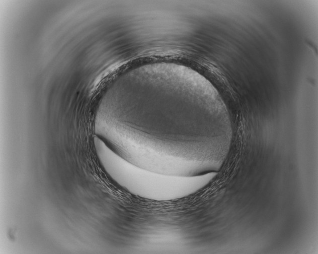 X0000102480920200809051352