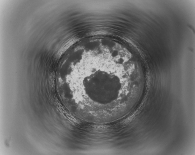 X0000102480921200809051352