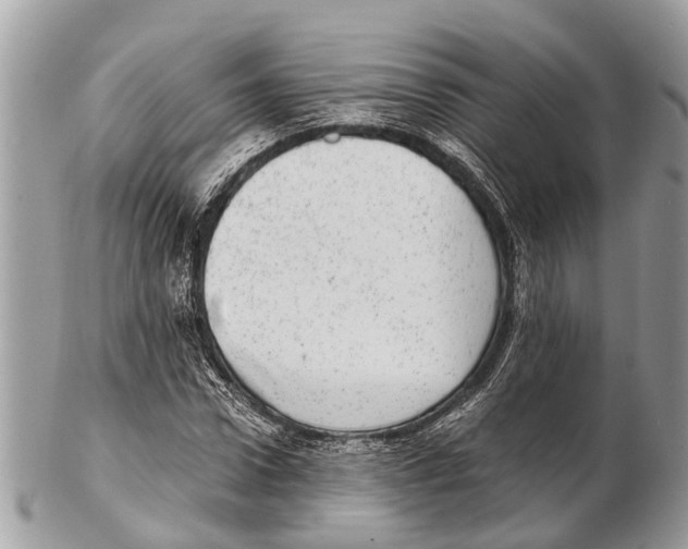 X0000102480922200809051352