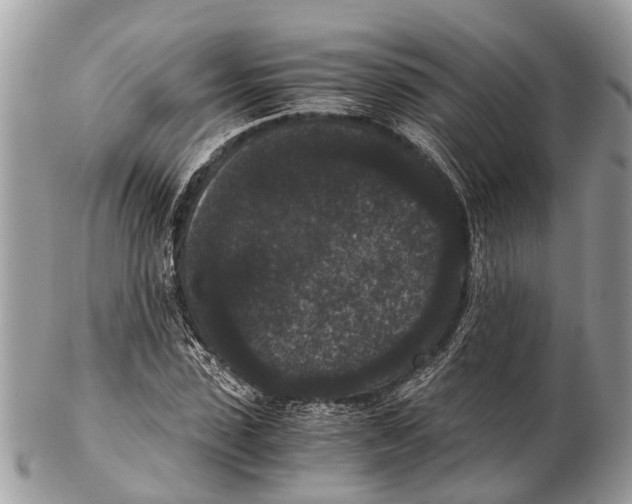 X0000102480923200809051352