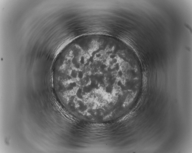 X0000102480925200809051352