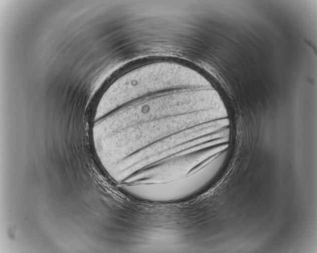 X0000102480926200809051352