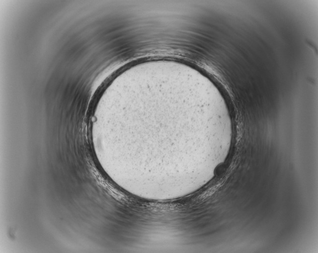 X0000102480928200809051352