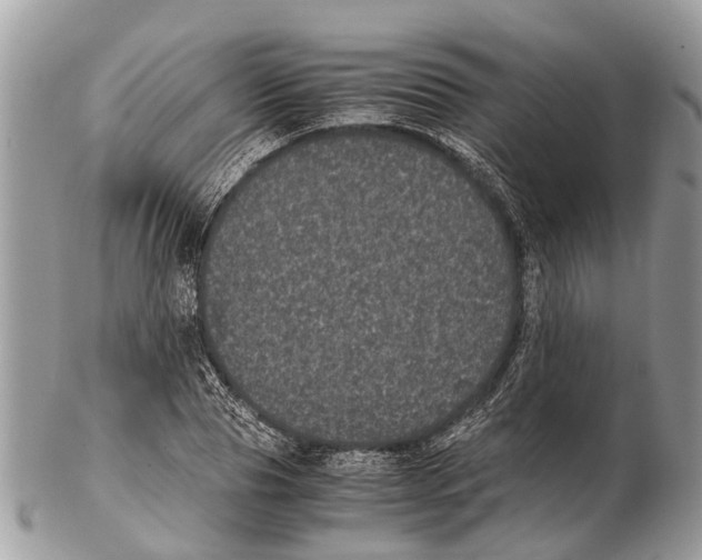 X0000102480929200809051352