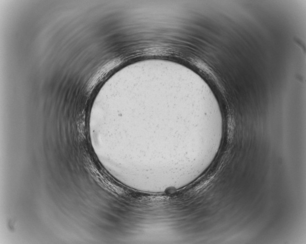 X0000102480930200809051352