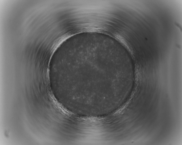 X0000102480932200809051352