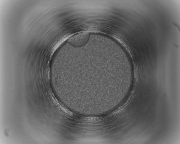 X0000102480933200809051352