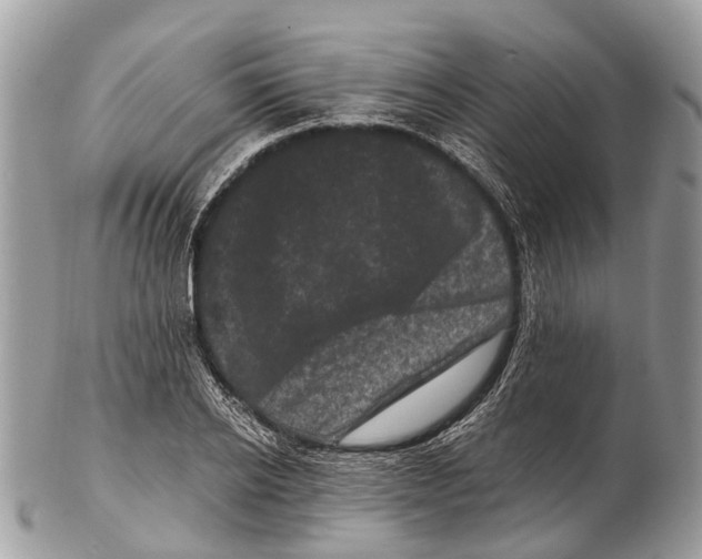 X0000102480934200809051352