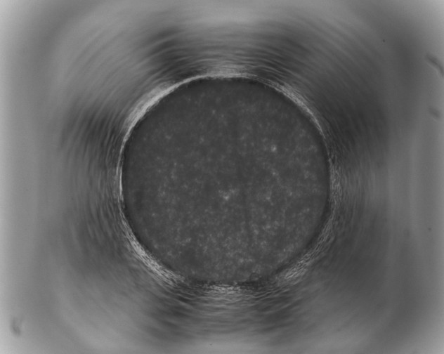 X0000102480935200809051352