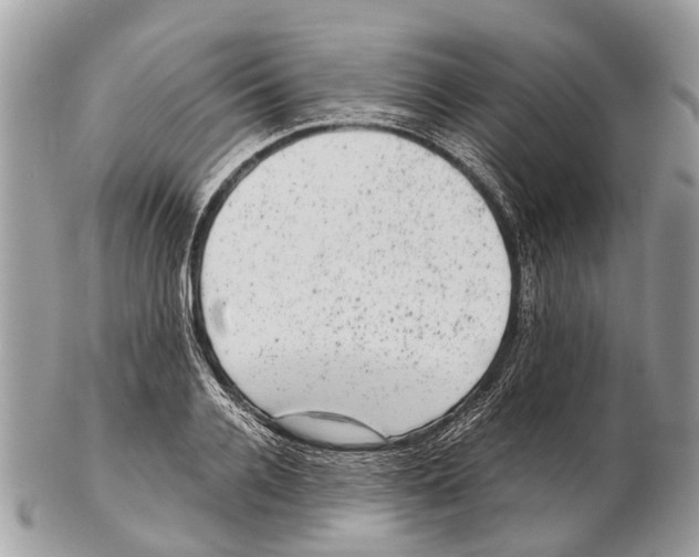 X0000102480936200809051352