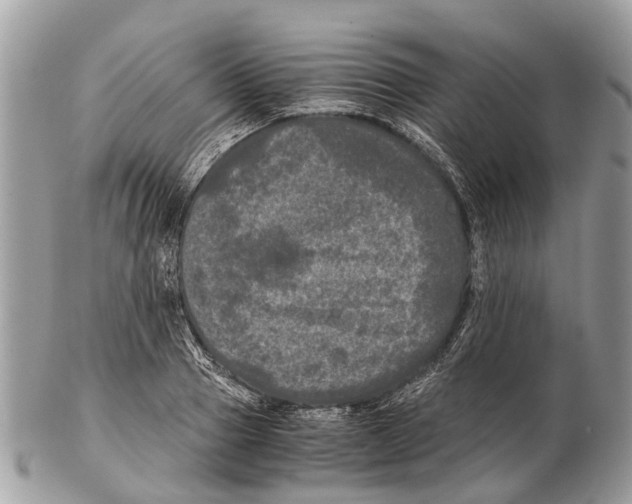 X0000102480937200809051353