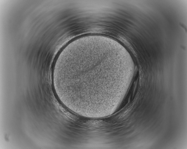 X0000102480939200809051353