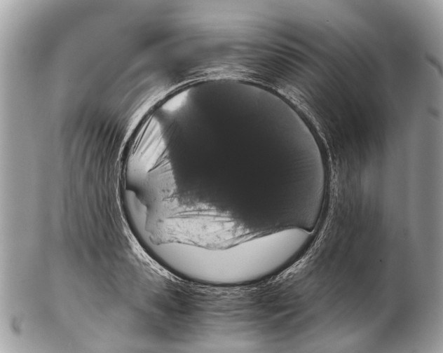 X0000102480941200809051353