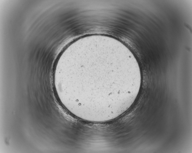 X0000102480942200809051353