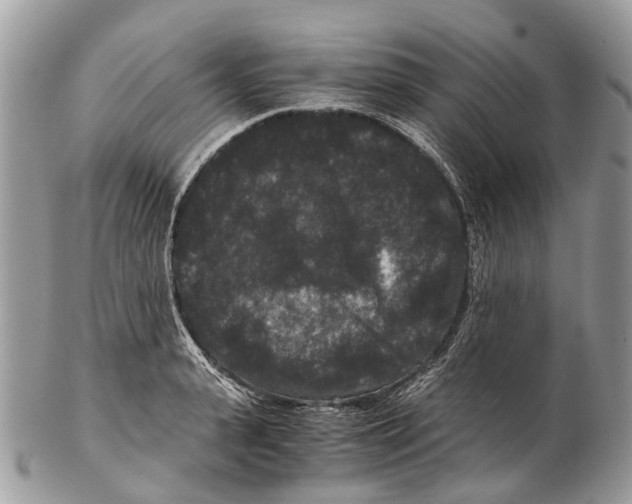 X0000102480943200809051353