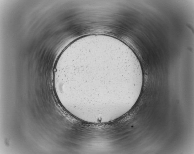 X0000102480948200809051353