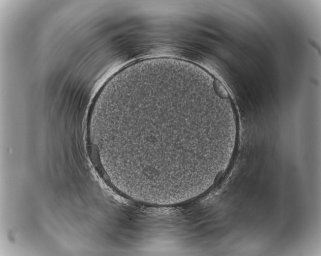 X0000102480949200809051353