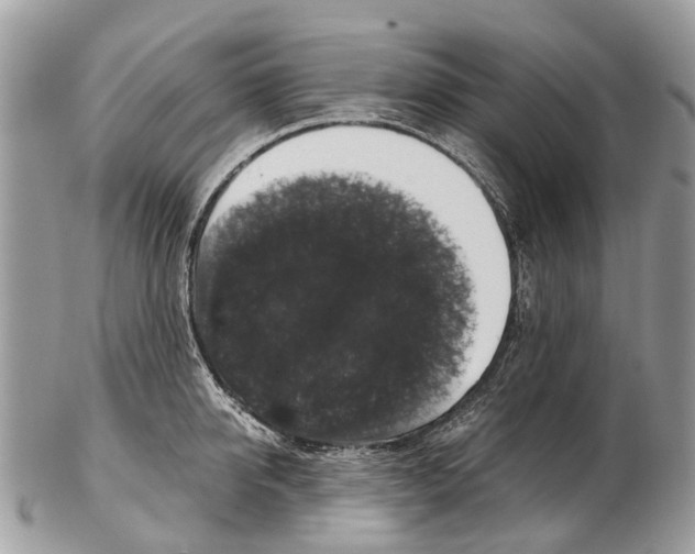 X0000102480950200809051353