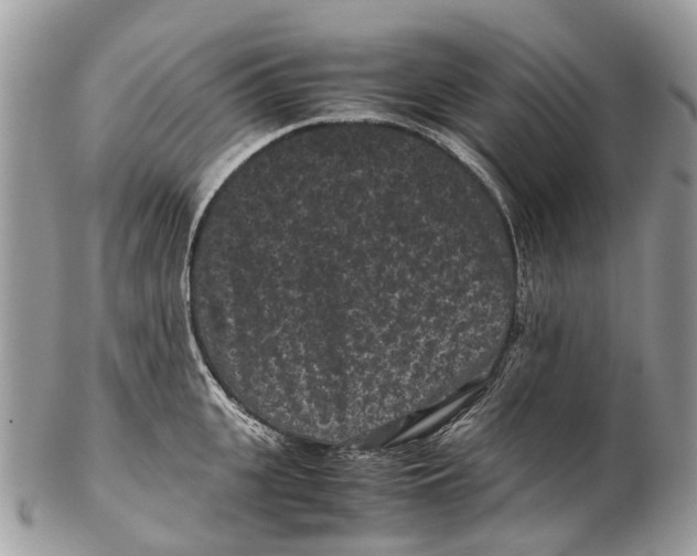 X0000102480951200809051353