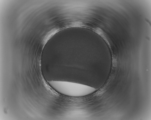 X0000102480954200809051353