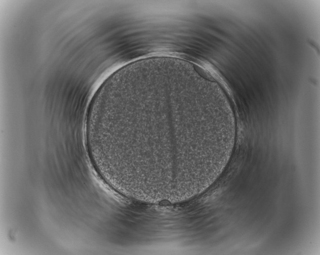 X0000102480955200809051353