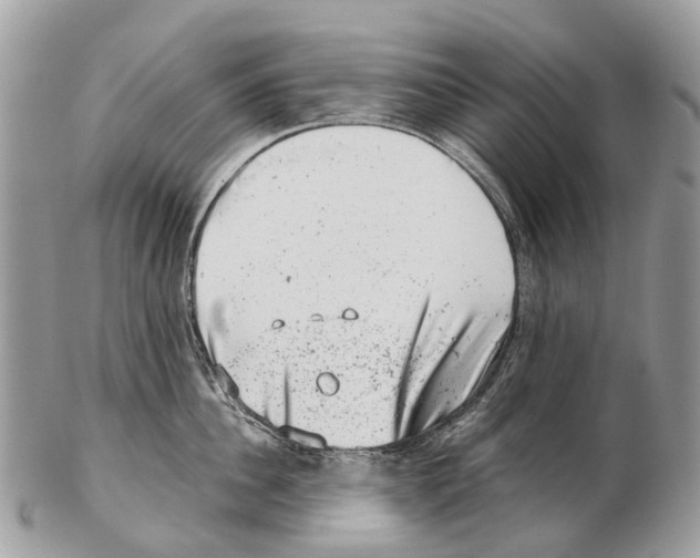 X0000102480956200809051353