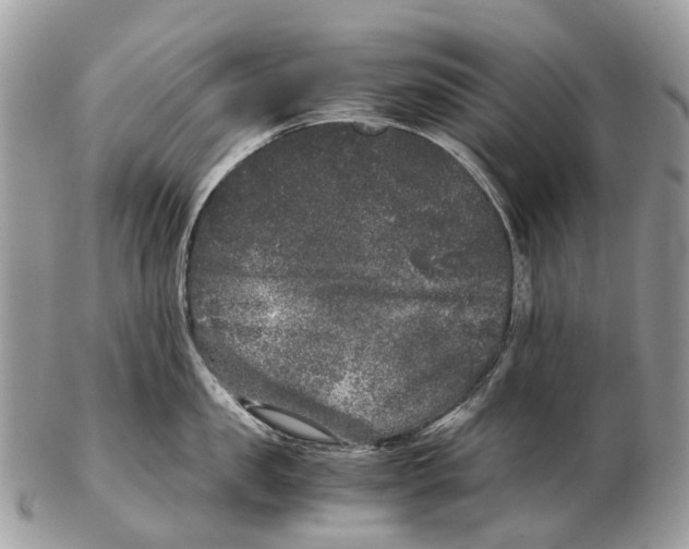 X0000102480957200809051353