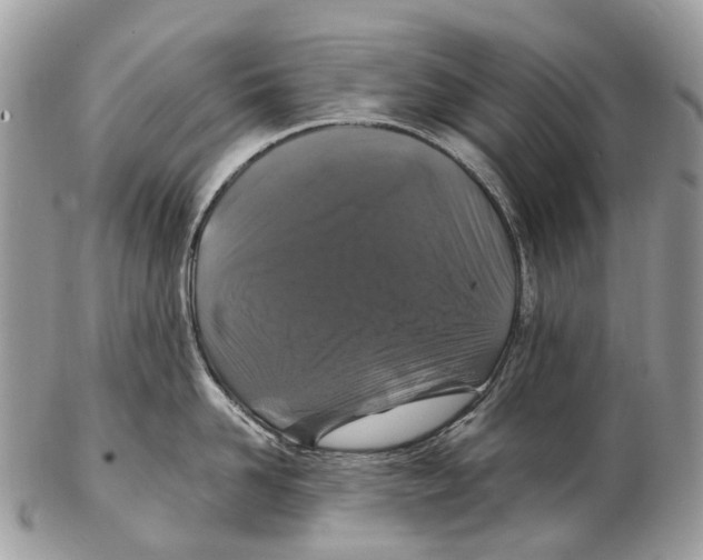 X0000102480958200809051353