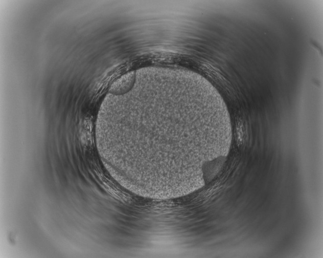 X0000102480964200809051352