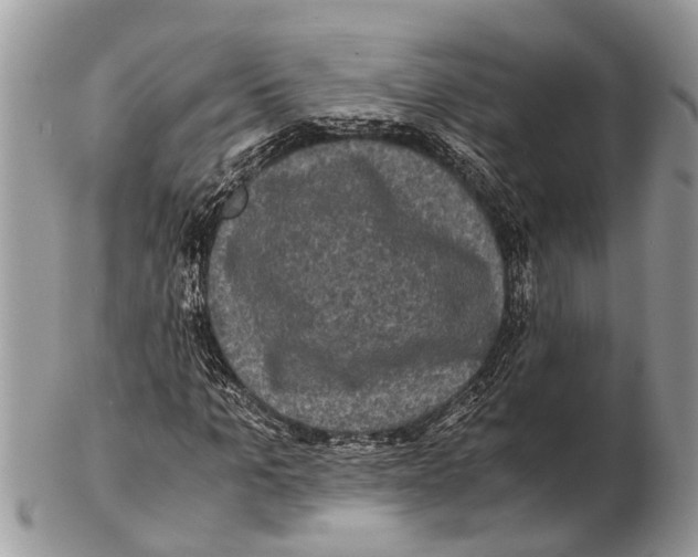 X0000102480965200809051352