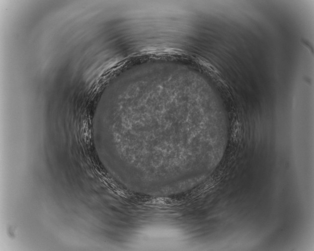 X0000102480966200809051352