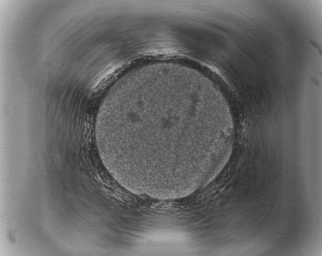 X0000102480967200809051352