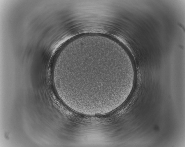 X0000102480971200809051352