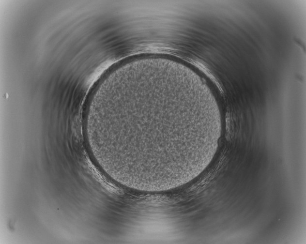 X0000102480972200809051352