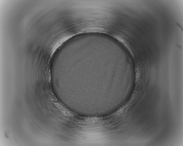 X0000102480973200809051352