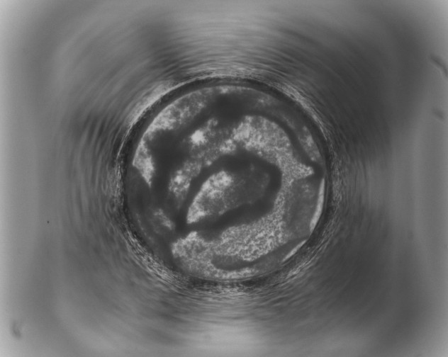 X0000102480975200809051352