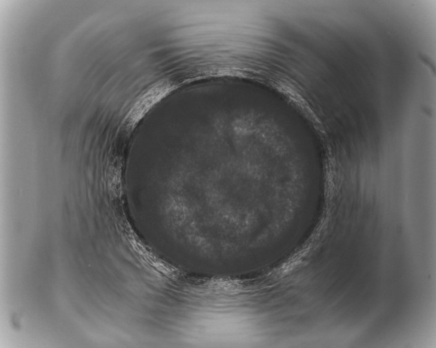 X0000102480977200809051352