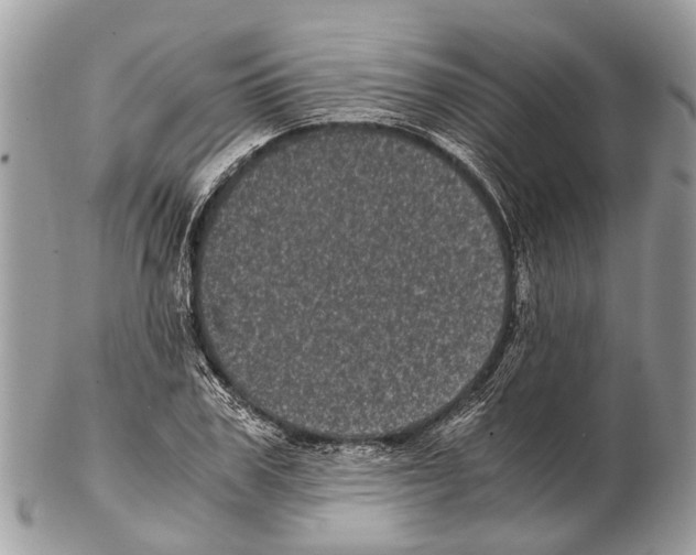 X0000102480979200809051352