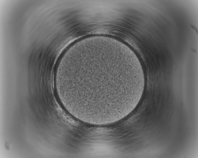 X0000102480984200809051352