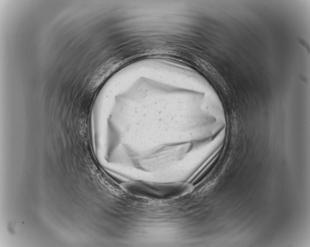 X0000102480985200809051352