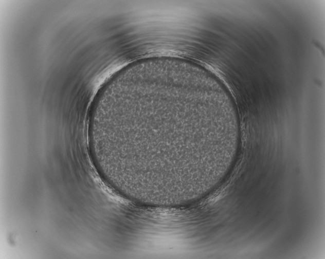 X0000102480987200809051352