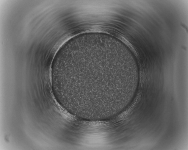 X0000102480988200809051352