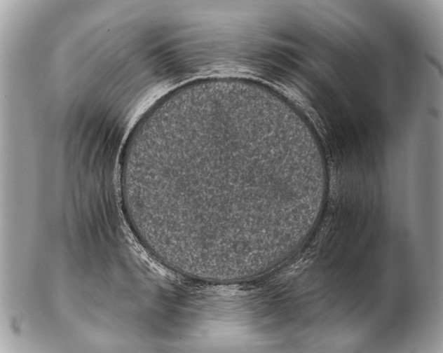 X0000102480990200809051352