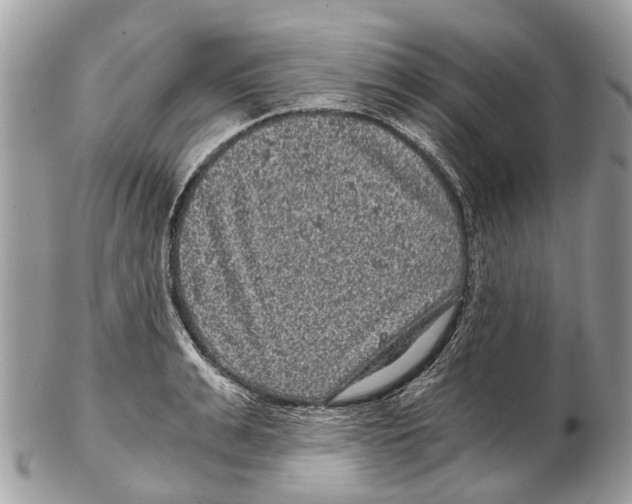 X0000102480991200809051352