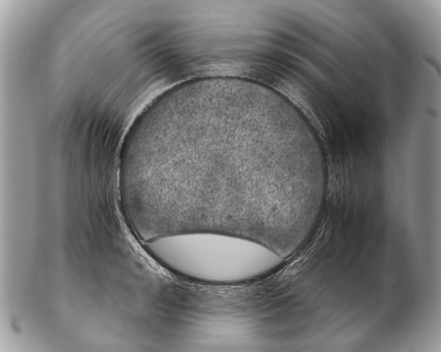 X0000102480992200809051352