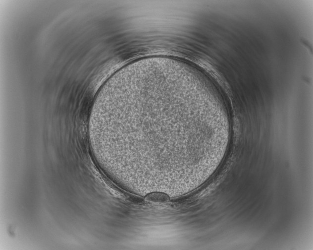 X0000102480993200809051352