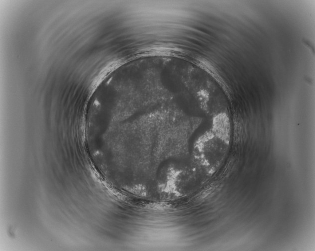 X0000102480994200809051352