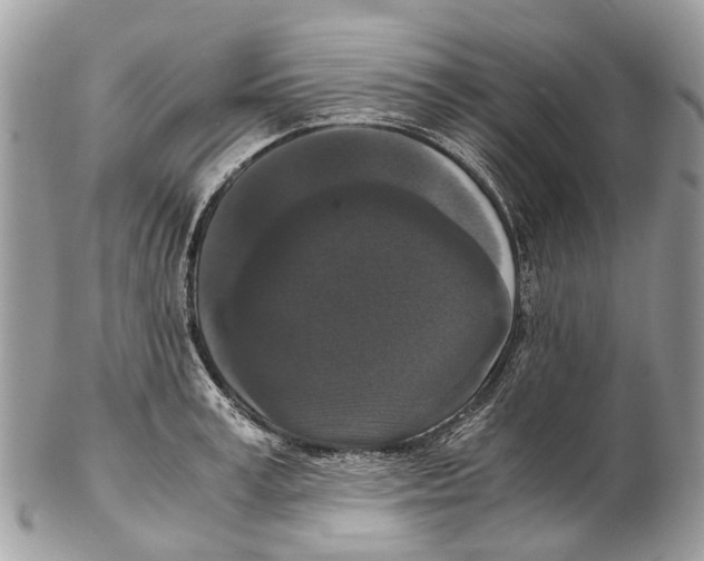 X0000102480995200809051352