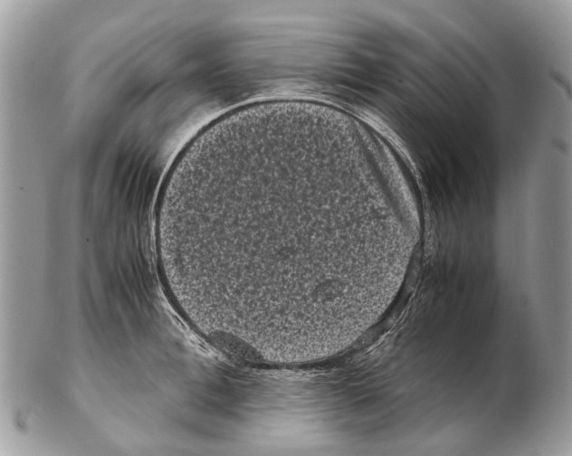 X0000102480996200809051352